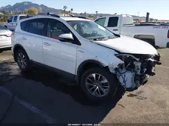 JTMRJREV1HD084623 2017 TOYOTA RAV 4