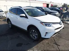 JTMRJREV1HD086288 2017 TOYOTA RAV 4