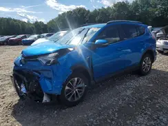JTMRJREV1HD111075 2017 TOYOTA RAV 4