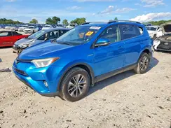 JTMRJREV1HD116017 2017 TOYOTA RAV 4