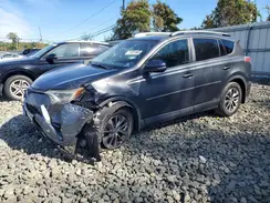 JTMRJREV1HD127003 2017 TOYOTA RAV 4