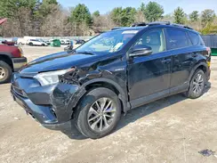 JTMRJREV1HD131942 2017 TOYOTA RAV 4