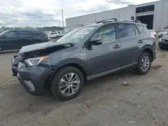 JTMRJREV1HD139250 2017 TOYOTA RAV 4