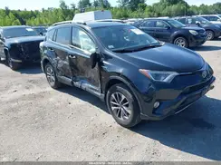JTMRJREV1HD152032 2017 TOYOTA RAV 4