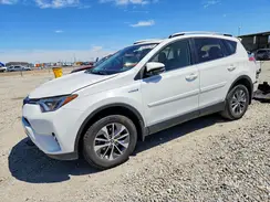 JTMRJREV1HD152872 2017 TOYOTA RAV 4
