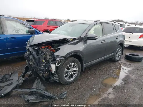 JTMRJREV1JD168172 2018 TOYOTA RAV 4 - Image 2