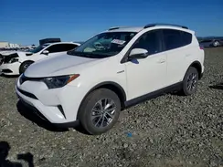 JTMRJREV1JD179222 2018 TOYOTA RAV 4