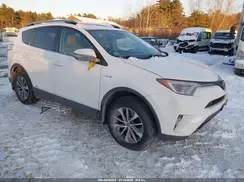 JTMRJREV1JD198272 2018 TOYOTA RAV 4