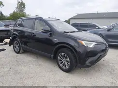 JTMRJREV1JD230590 2018 TOYOTA RAV 4
