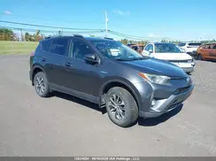 JTMRJREV1JD239418 2018 TOYOTA RAV 4