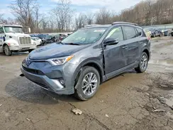 JTMRJREV1JD240147 2018 TOYOTA RAV 4