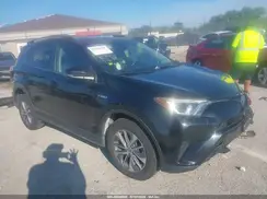 JTMRJREV1JD247664 2018 TOYOTA RAV 4