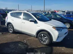 JTMRJREV2GD000680 2016 TOYOTA RAV 4