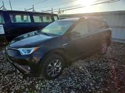 JTMRJREV2GD011226 2016 TOYOTA RAV 4