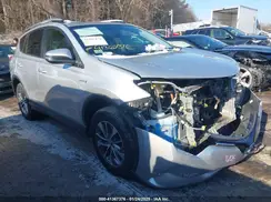 JTMRJREV2GD019598 2016 TOYOTA RAV 4