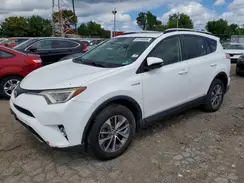 JTMRJREV2GD033095 2016 TOYOTA RAV 4