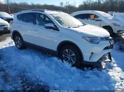 JTMRJREV2GD036949 2016 TOYOTA RAV 4
