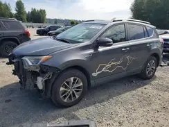 JTMRJREV2GD048888 2016 TOYOTA RAV 4