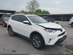 JTMRJREV2GD056621 2016 TOYOTA RAV 4