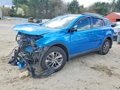 JTMRJREV2HD064624 2017 TOYOTA RAV 4