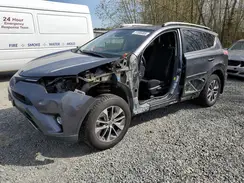 JTMRJREV2HD080239 2017 TOYOTA RAV 4