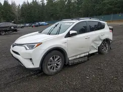 JTMRJREV2HD087983 2017 TOYOTA RAV 4