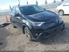 JTMRJREV2JD154099 2018 TOYOTA RAV 4