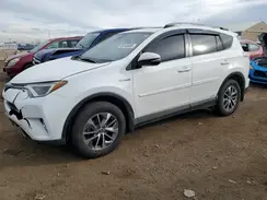 JTMRJREV2JD252825 2018 TOYOTA RAV 4