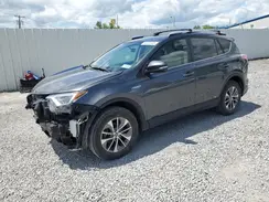JTMRJREV3GD002048 2016 TOYOTA RAV 4