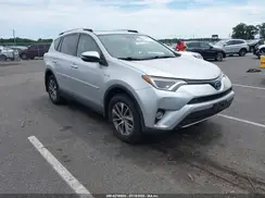 JTMRJREV3GD005497 2016 TOYOTA RAV 4
