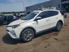 JTMRJREV3GD024745 2016 TOYOTA RAV 4