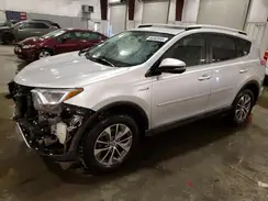 JTMRJREV3GD029623 2016 TOYOTA RAV 4