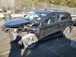 JTMRJREV3GD029637 2016 TOYOTA RAV 4
