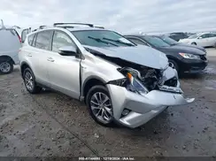 JTMRJREV3GD029654 2016 TOYOTA RAV 4