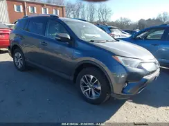JTMRJREV3GD055610 2016 TOYOTA RAV 4