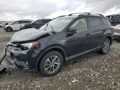 JTMRJREV3GD056627 2016 TOYOTA RAV 4