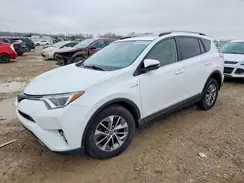 JTMRJREV3HD094473 2017 TOYOTA RAV 4