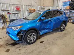 JTMRJREV3HD099611 2017 TOYOTA RAV 4