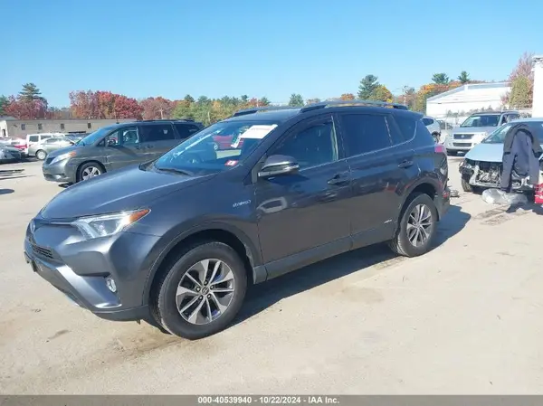 JTMRJREV3HD110591 2017 TOYOTA RAV 4 - Image 2