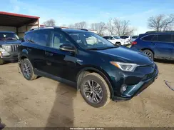 JTMRJREV3HD111837 2017 TOYOTA RAV 4
