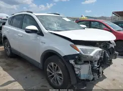 JTMRJREV3HD130582 2017 TOYOTA RAV 4