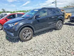 JTMRJREV3HD134566 2017 TOYOTA RAV 4
