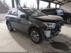 JTMRJREV3HD141646 2017 TOYOTA RAV 4