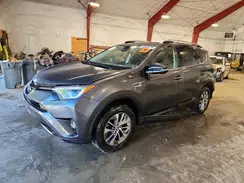 JTMRJREV3HD149231 2017 TOYOTA RAV 4