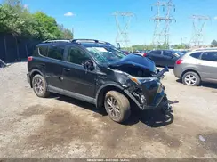 JTMRJREV3HD149729 2017 TOYOTA RAV 4