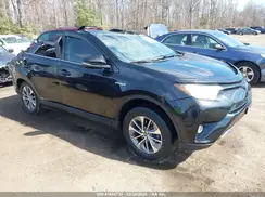 JTMRJREV3JD197320 2018 TOYOTA RAV 4