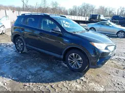 JTMRJREV3JD203410 2018 TOYOTA RAV 4