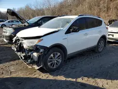 JTMRJREV3JD234088 2018 TOYOTA RAV 4