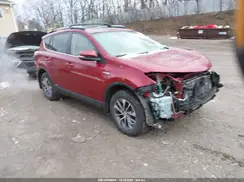 JTMRJREV3JD239064 2018 TOYOTA RAV 4