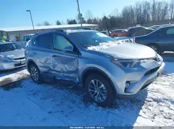 JTMRJREV3JD243096 2018 TOYOTA RAV 4